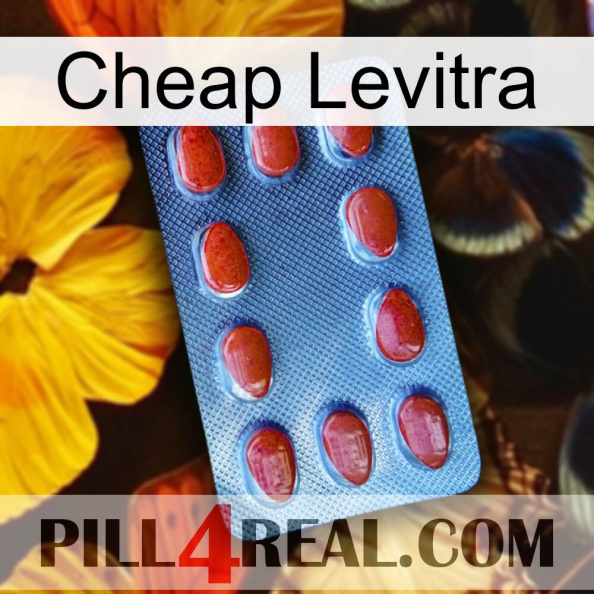 Cheap Levitra 06.jpg